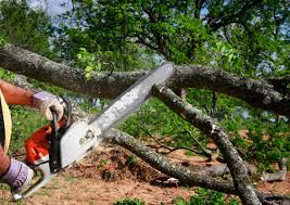 Best Lawn Pest Prevention  in Thornport, OH