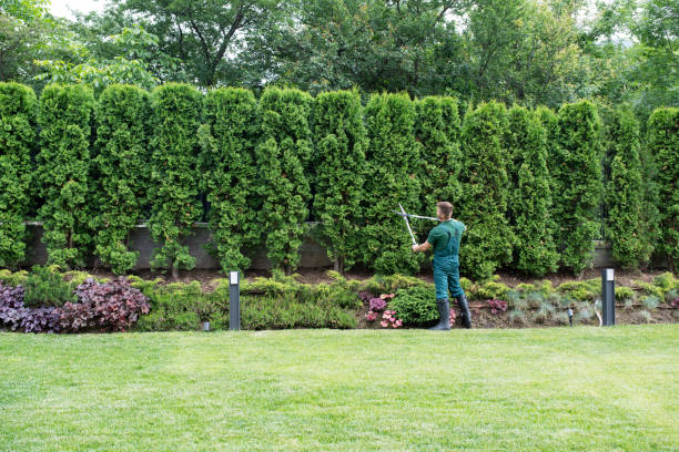 Best Weed Control  in Thornport, OH